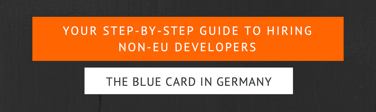 step-by-step guide to the European Blue Card