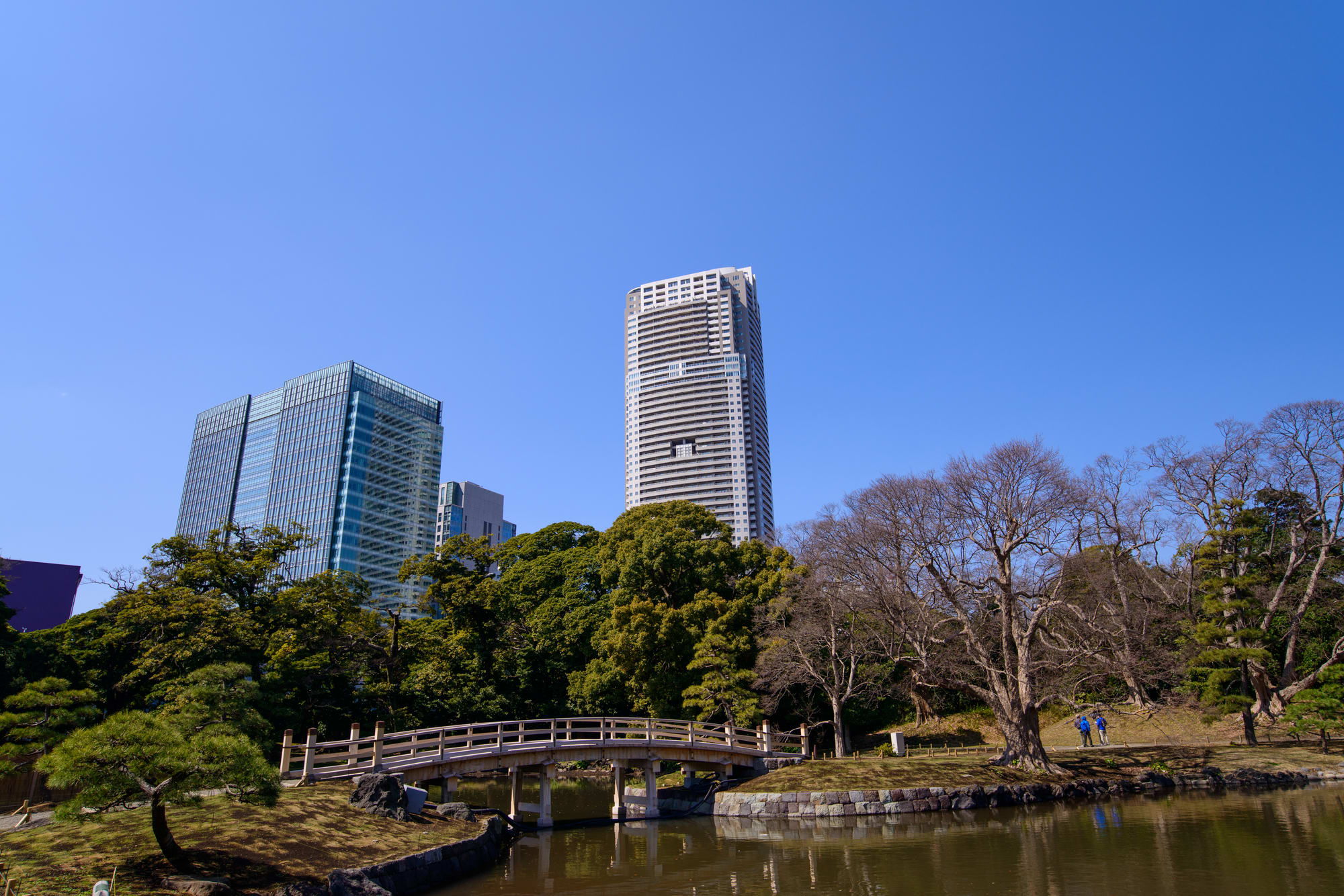 “Hama-rikyu Garden”: a Japanese Style Garden Where You Can Enjoy Flowers of the Seasons