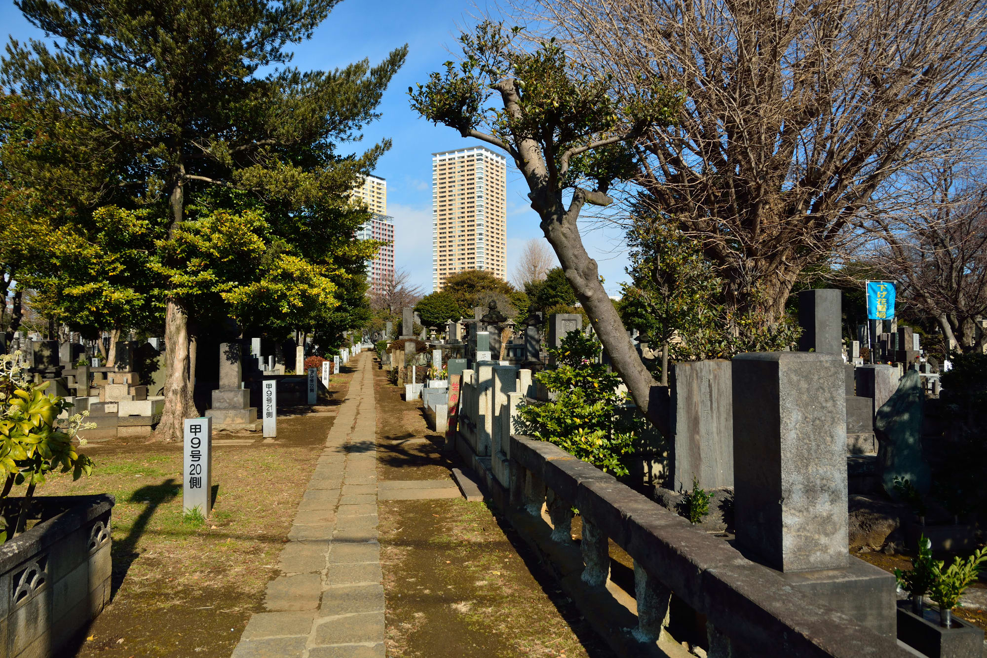 About Yanaka cemetery