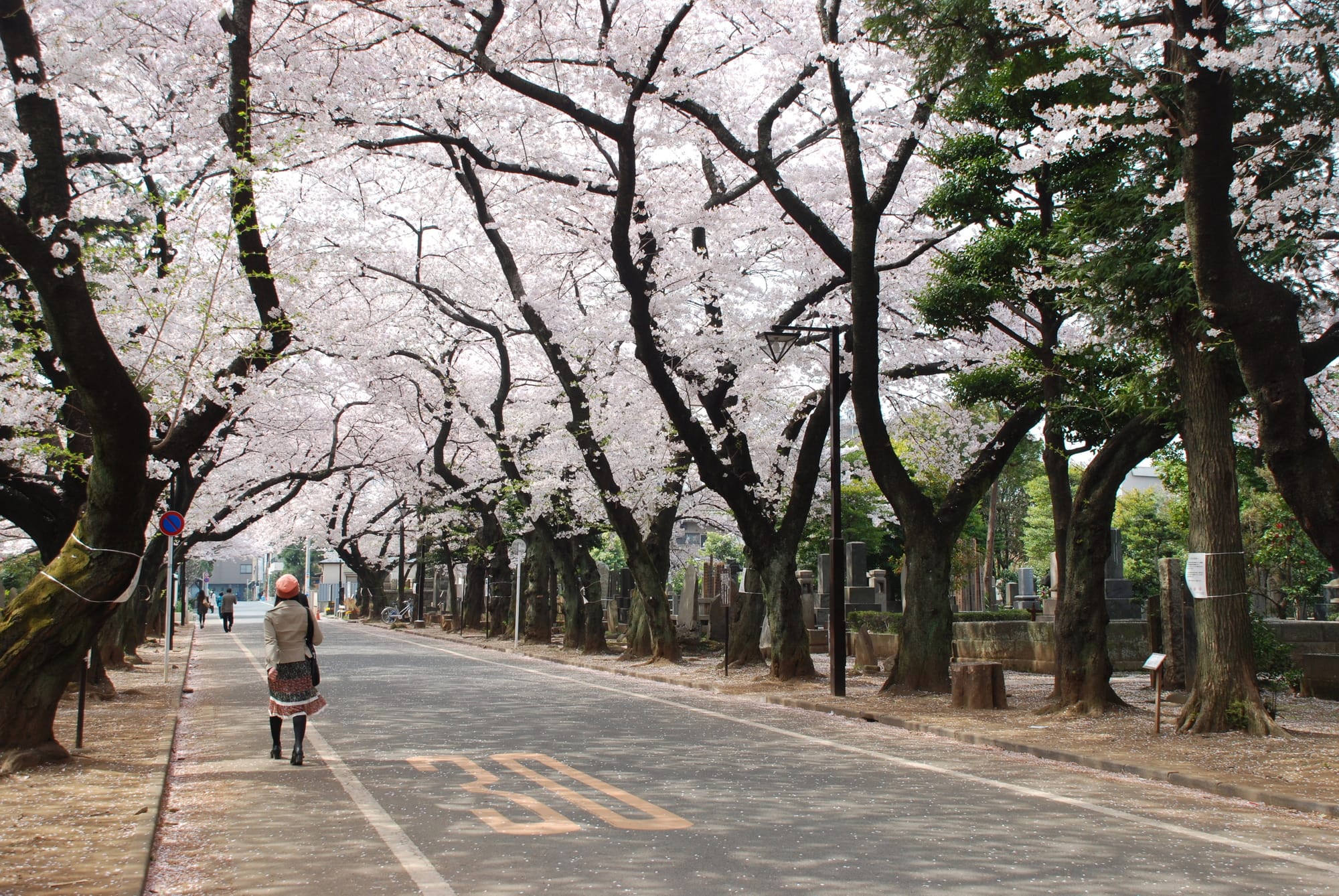 Take a Walk at Yanesen: Feel Japanese History at Yanaka Cemetery