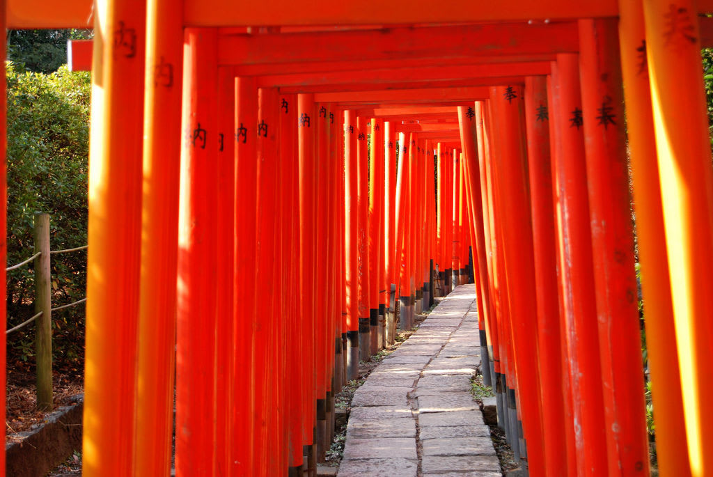 Enjoy the Mysterious Power at Impressive 1,000 of Torii Gates!