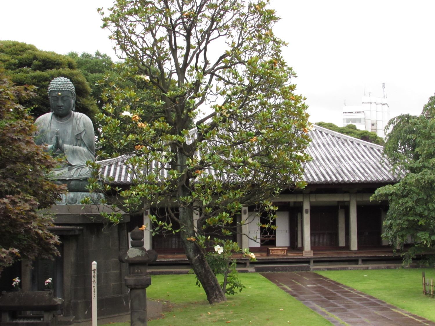 About “Tennoji” Temple