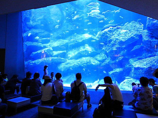 About the Sumida Aquarium