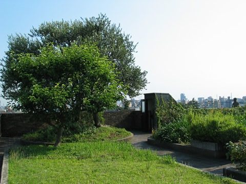 The rooftop garden to get a full view of Tokyo city