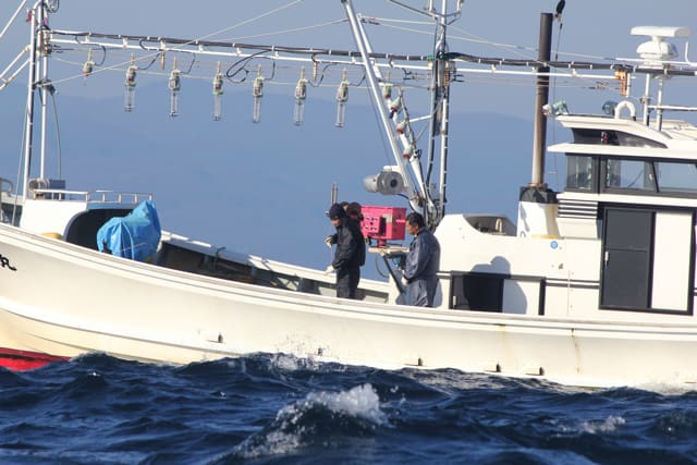 Oma Tuna Pole-and-Line Fishing Boat 31st Ryofukumaru Draft Line, Aoshima  049921 (2010)