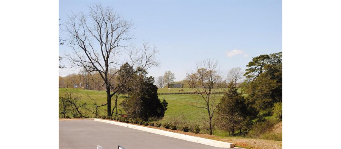 1048 Casley Way, Forest, VA