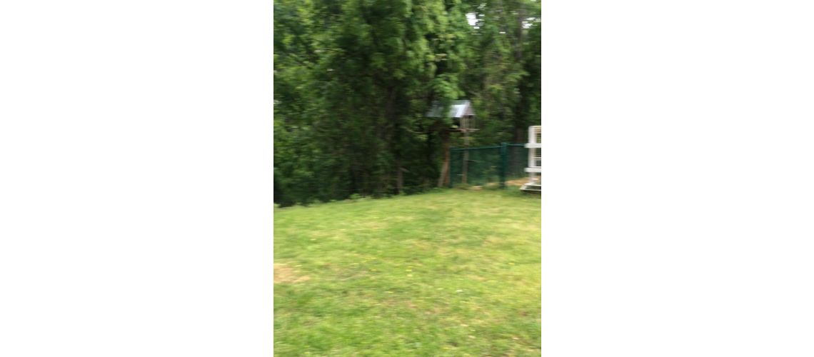 2109 MacLeod
, Lynchburg, VA