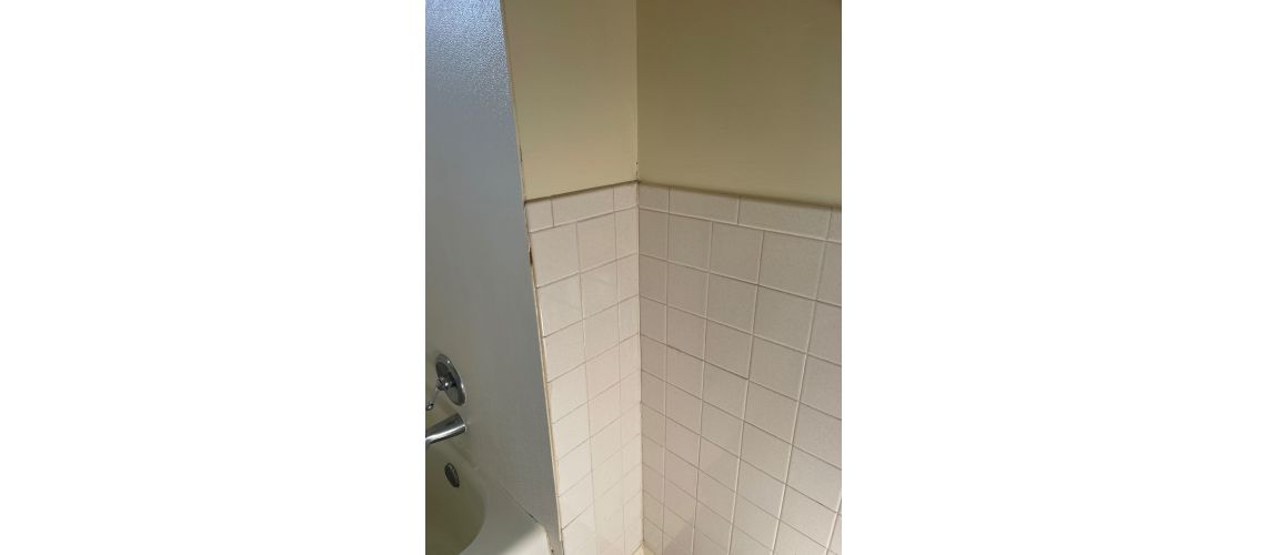 1208 Avondale Unit 36 - Altavista, Altavista, VA