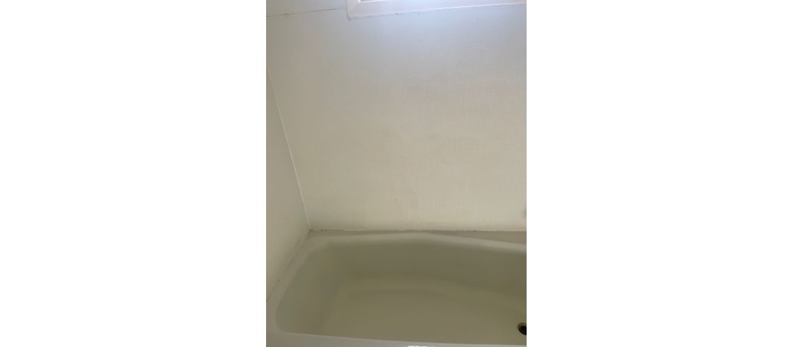 1208 Avondale Unit 36 - Altavista, Altavista, VA