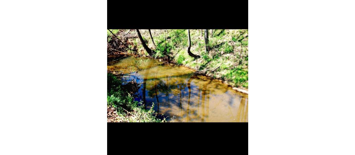 59 Carter Crossing Lane, Forest, VA