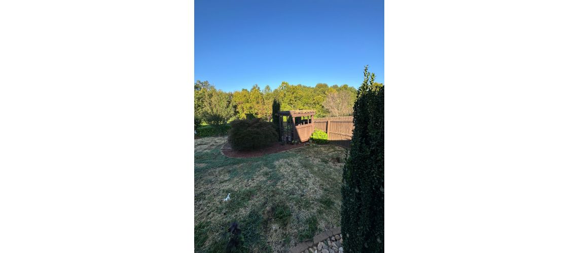 59 Carter Crossing Lane, Forest, VA