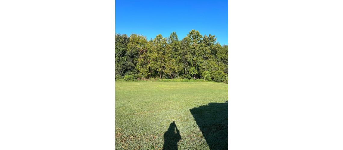 59 Carter Crossing Lane, Forest, VA