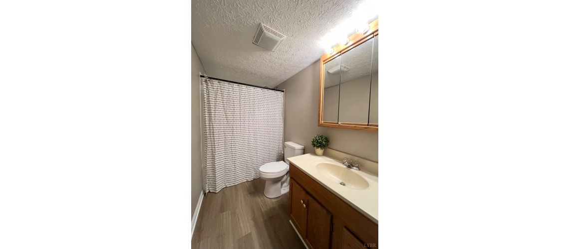 702 Goose Meadow Drive, Forest, VA