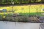1083 Middleview Drive, Forest, VA