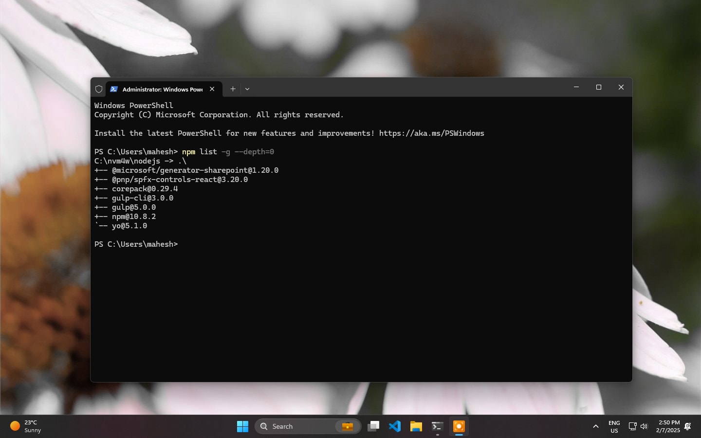 npm Global List