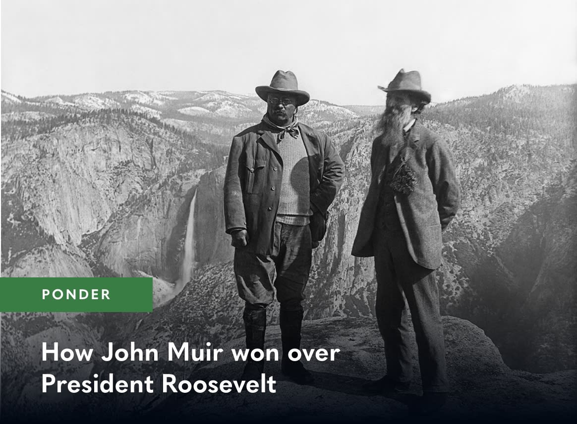 A historical image of Theodore Roosevelt and John Muir looking upon the grandeur of Yosemite Valley.