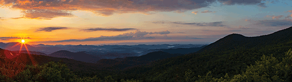 Nature image