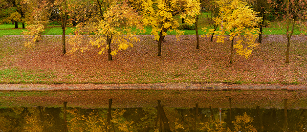 Autumn