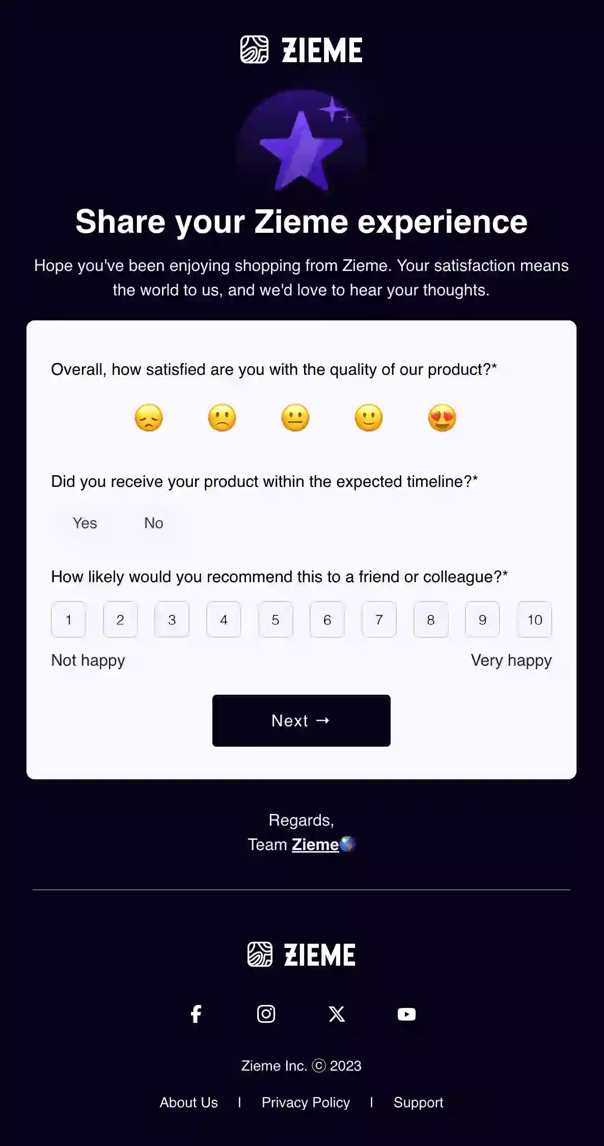 Ecommerce Product Feedback Email Template