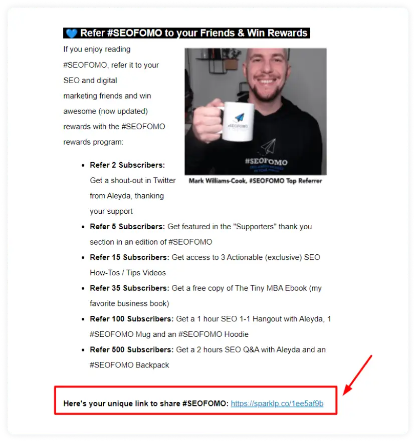 Referral link in newsletter towards the bottom