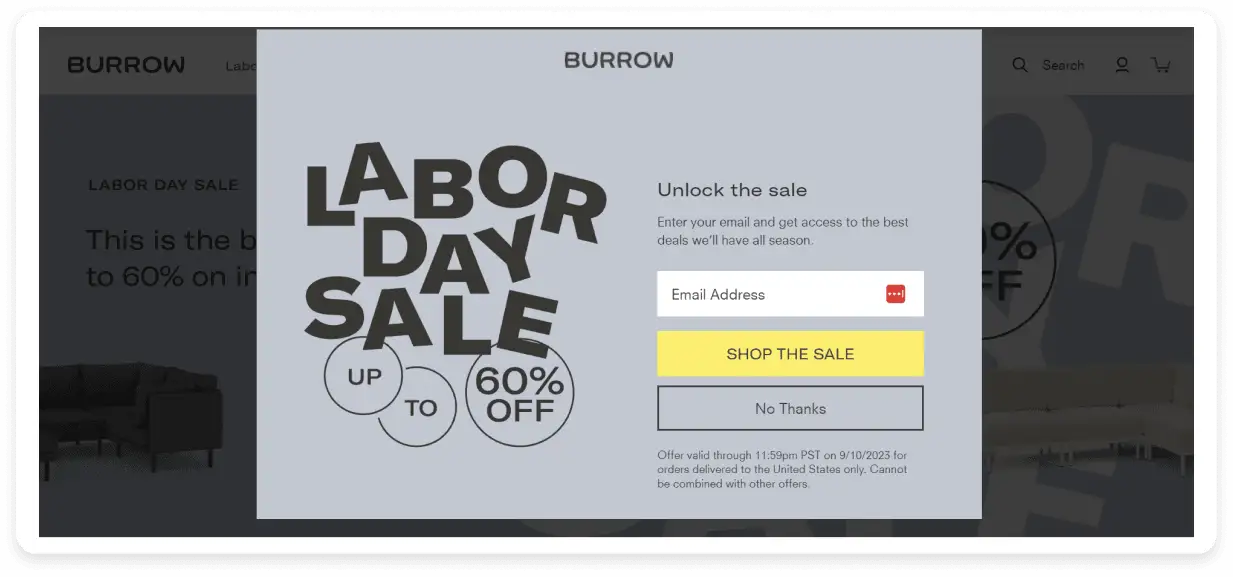 An image showing a popup on the website of Burrow