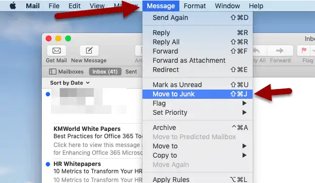 All You Need to Know About Spam Emails