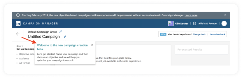 LinkedIn ad campaign naming page