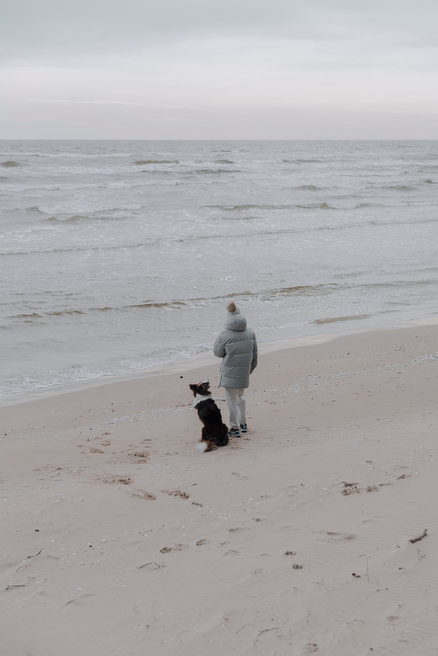 West Wight Coastal walks