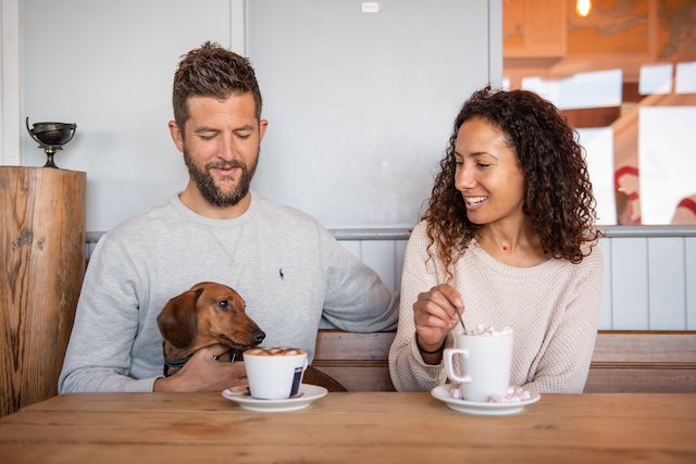 Dog Friendly holiday homes