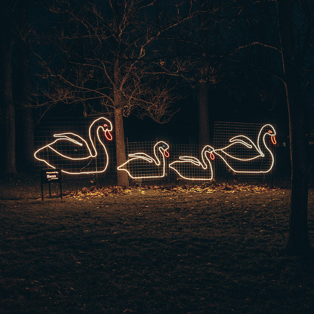 Christmas lights at the park