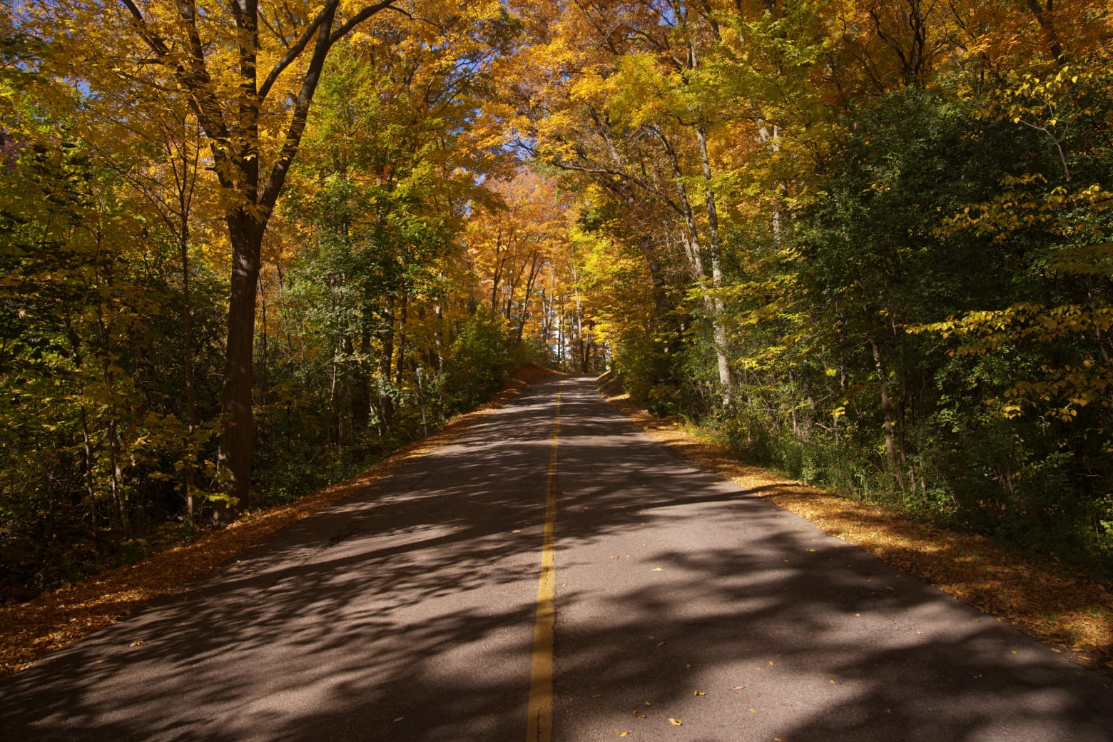 Sprynter Delivery Kitchener-Waterloo Same Day Courier Service - open road during fall in Ontario