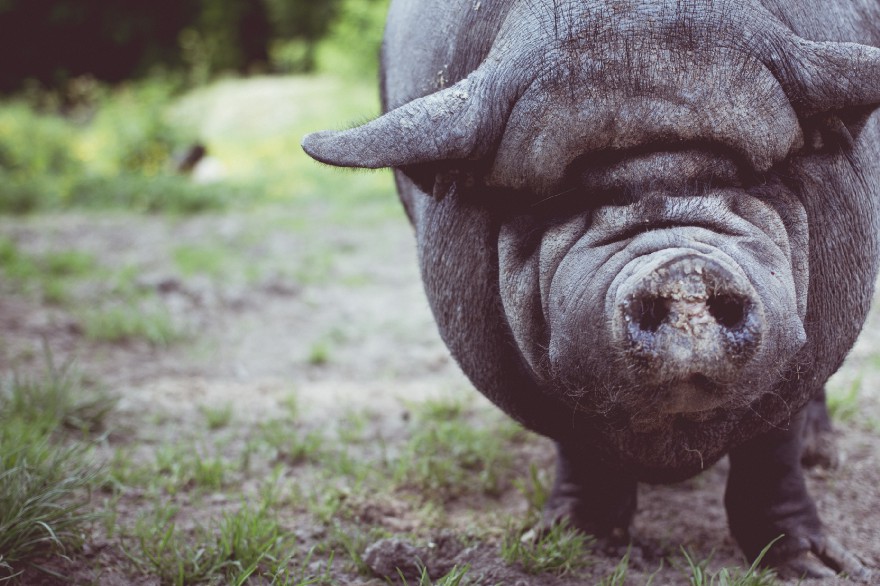 Photo by Fabian Blank on Unsplash