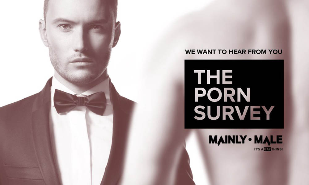 the porn survey
