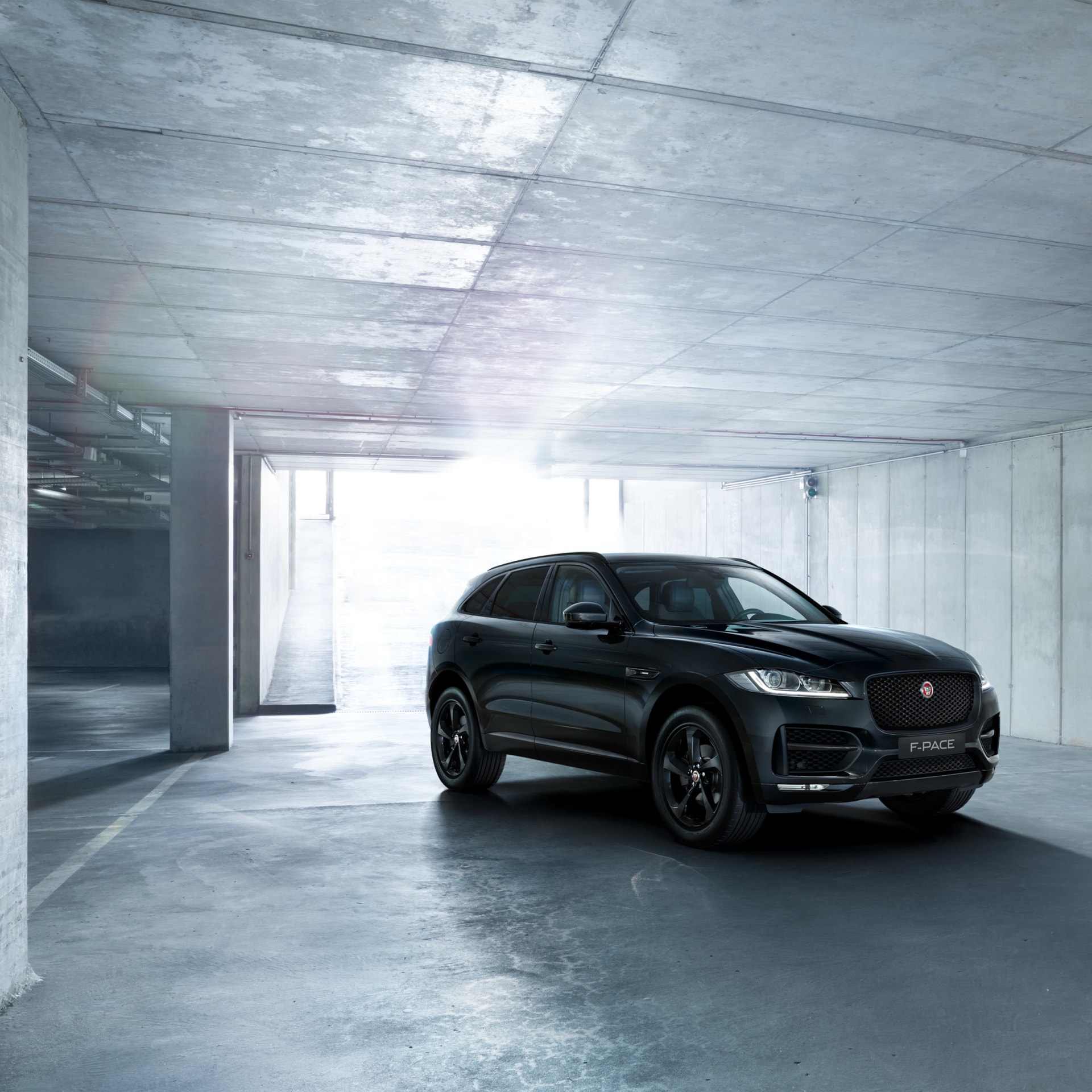 Jaguar Black edition 