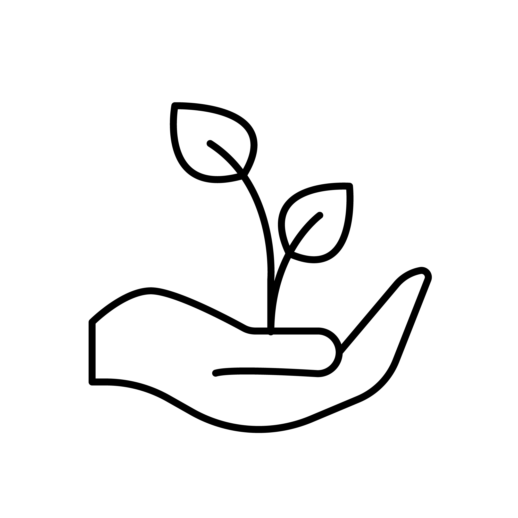 icon-image-alt