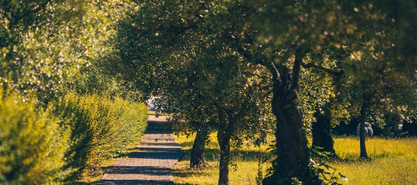 Werden Sie eins mit der Natur