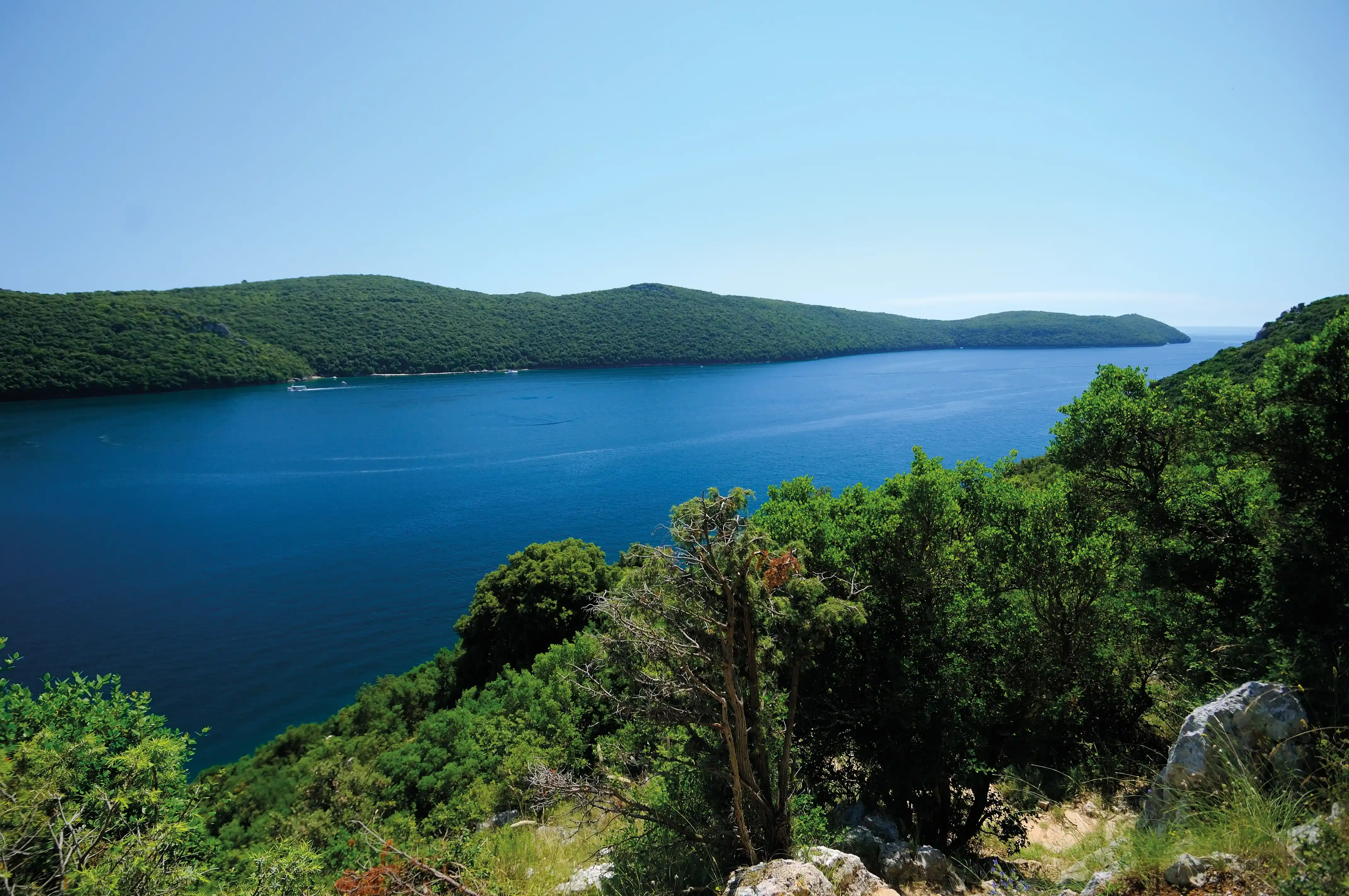 Lim Bay Tour Maistra