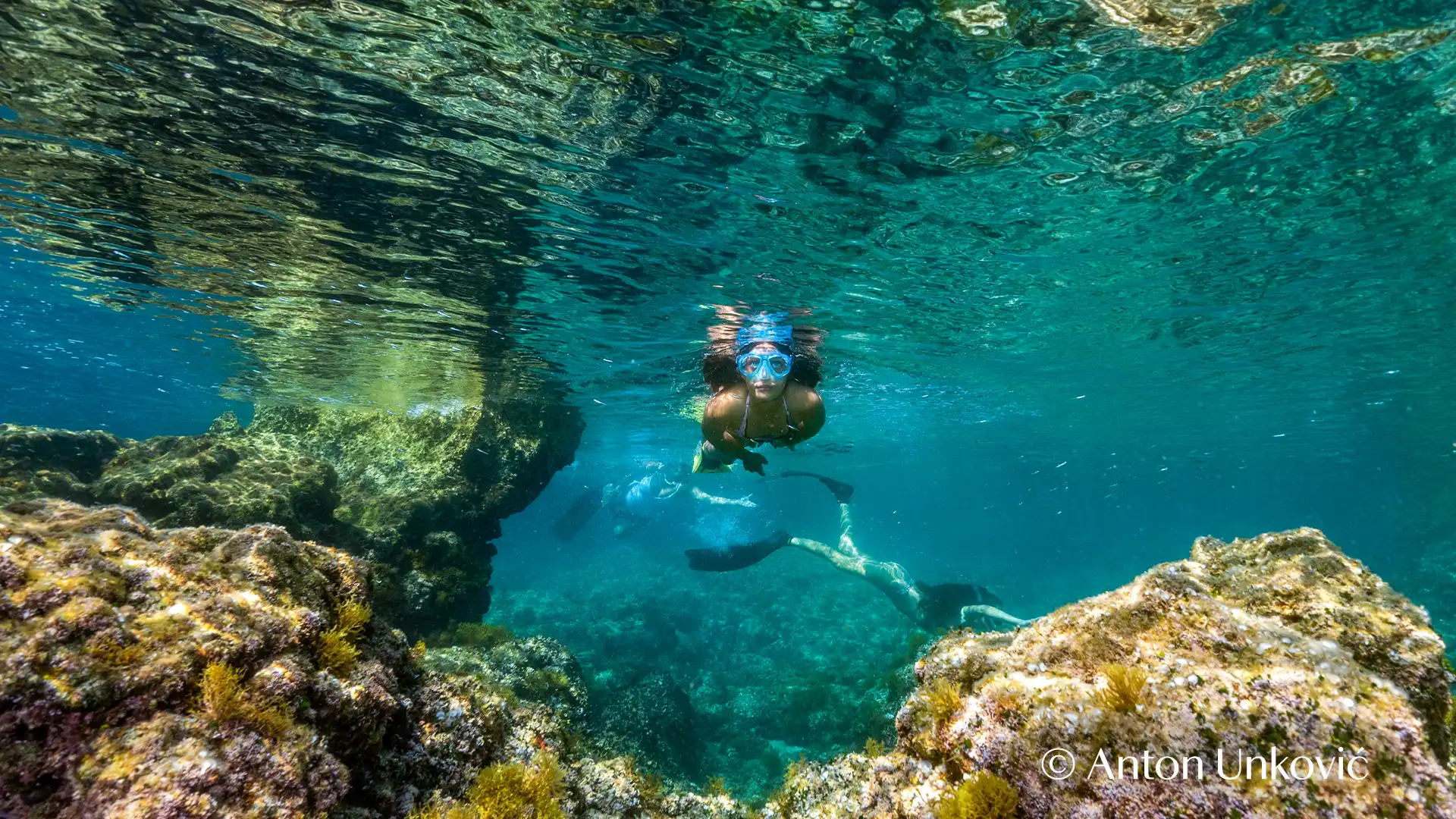 Private snorkeling Private snorkeling