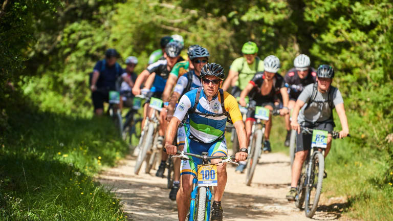 Limes Bike & Family Tour