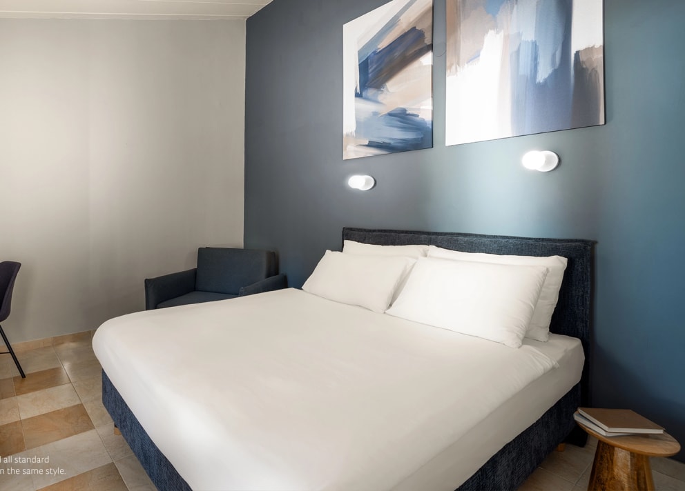 Dvoposteljna soba Standard s pomožnim ležiščem