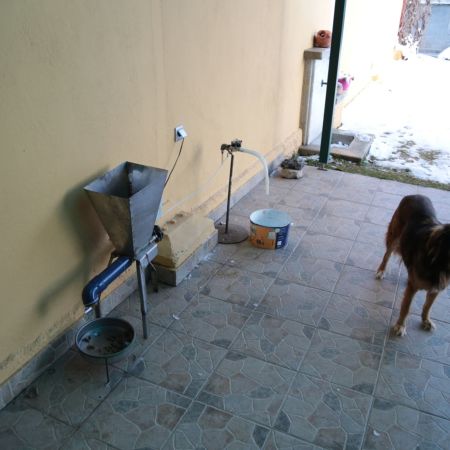Automatic dog feeder/waterer