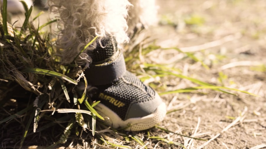 RIFRUF | Caesar 1 Dog Sneakers