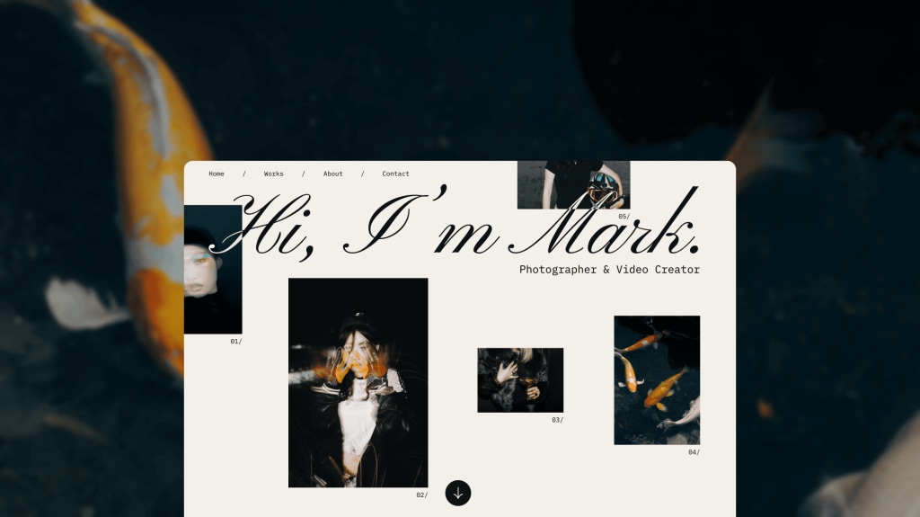 Portfolio