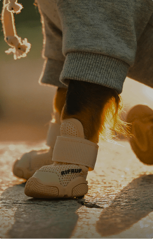 RIFRUF | Designer Dog Shoes & Dog Booties for Sneakerheads