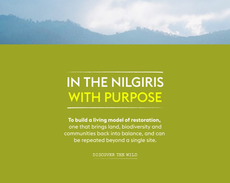 In the Nilgiris with purpose