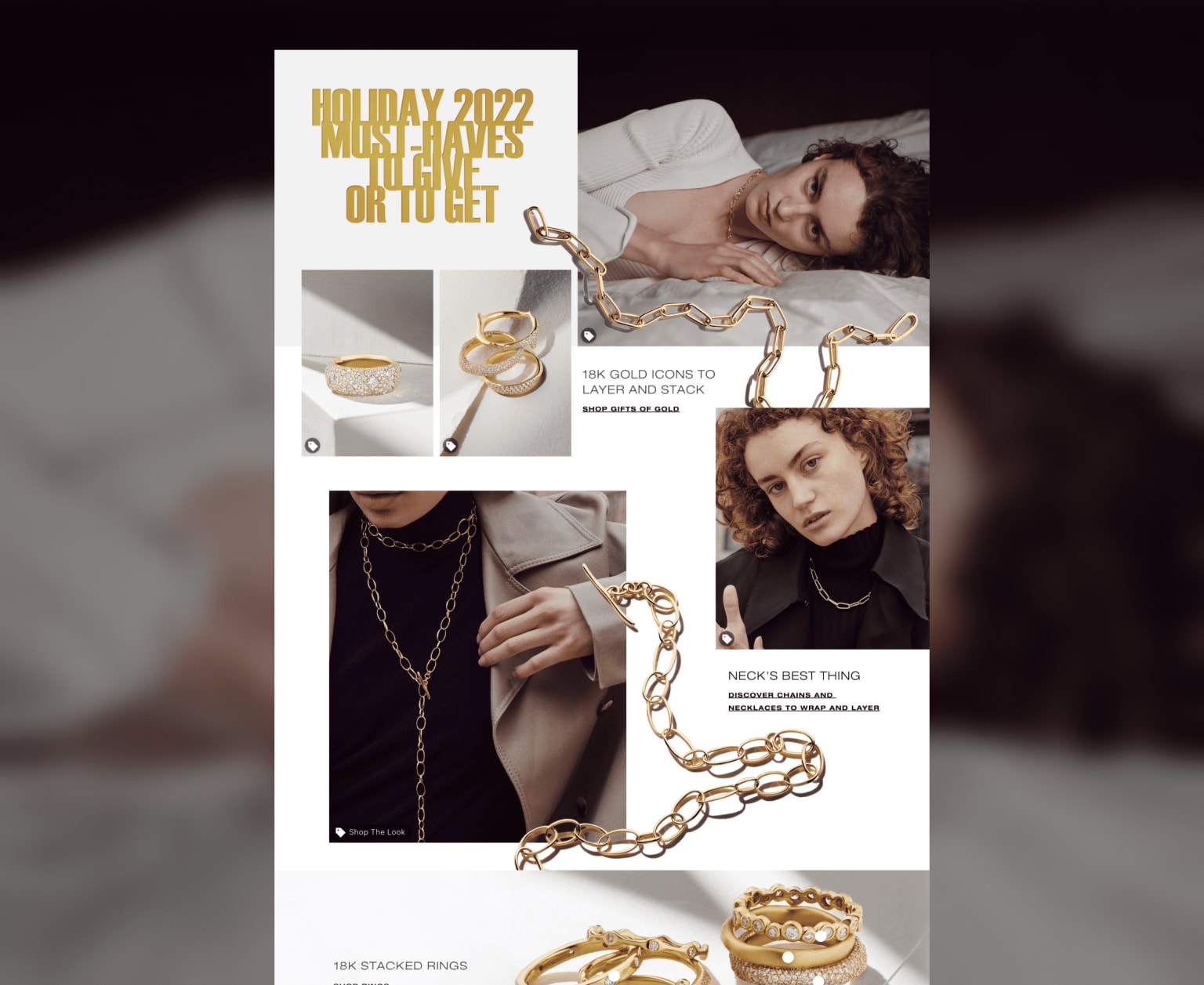 Ippolita case study image 1