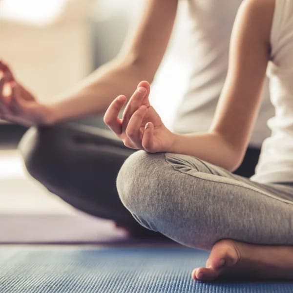 Evidence-based holistic therapy