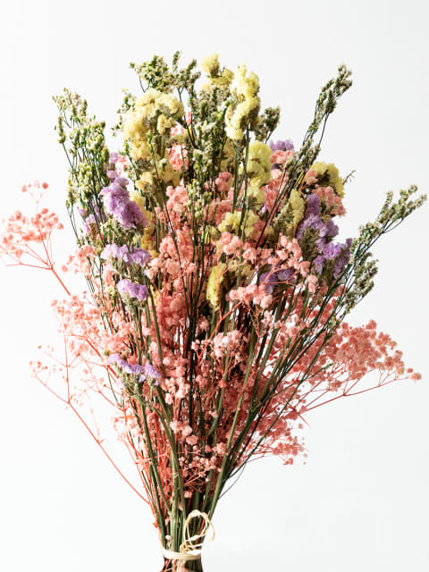 Dried Flowers. Boho style. Dried plants. Greeting Card for Sale