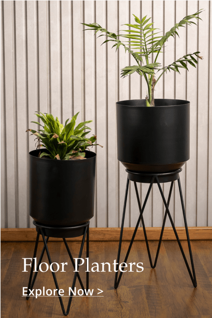 Planters online online