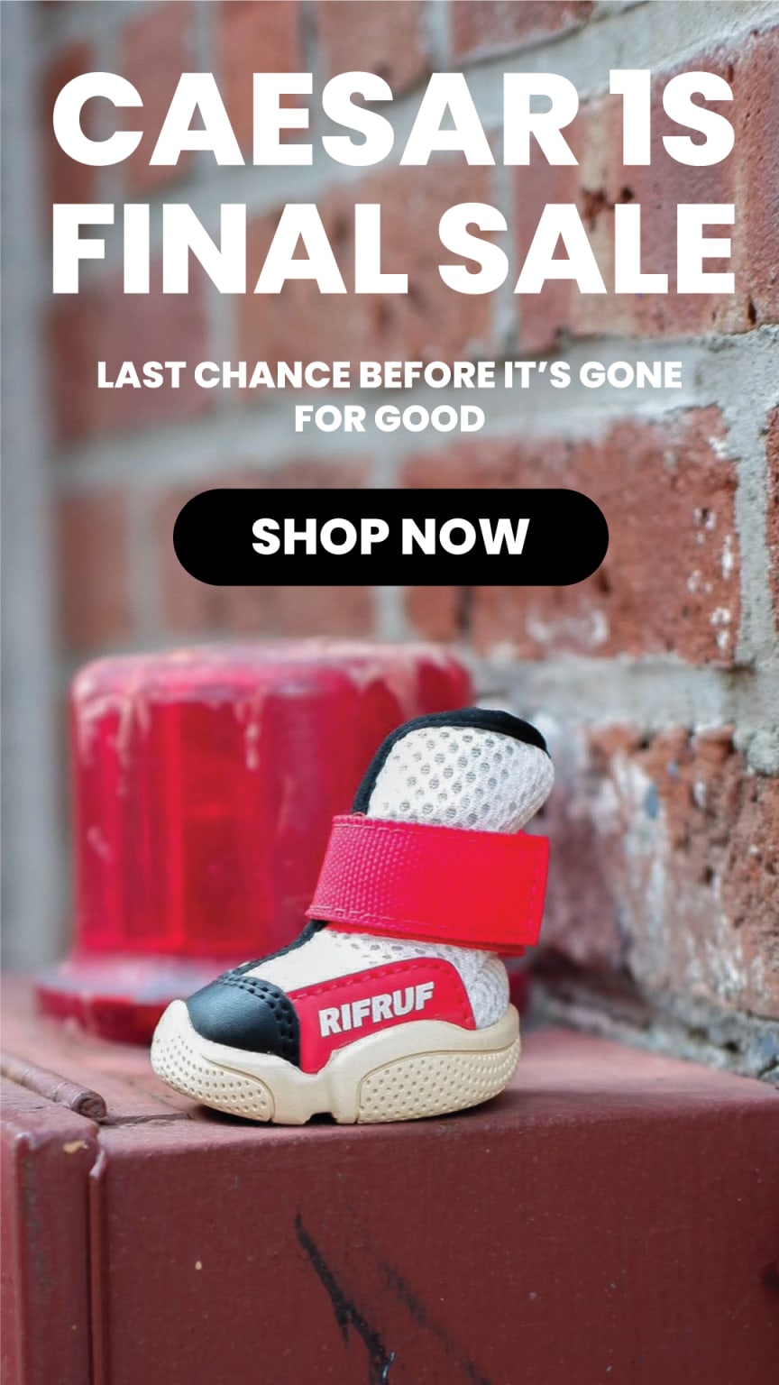 Luxury dog shoes shop
